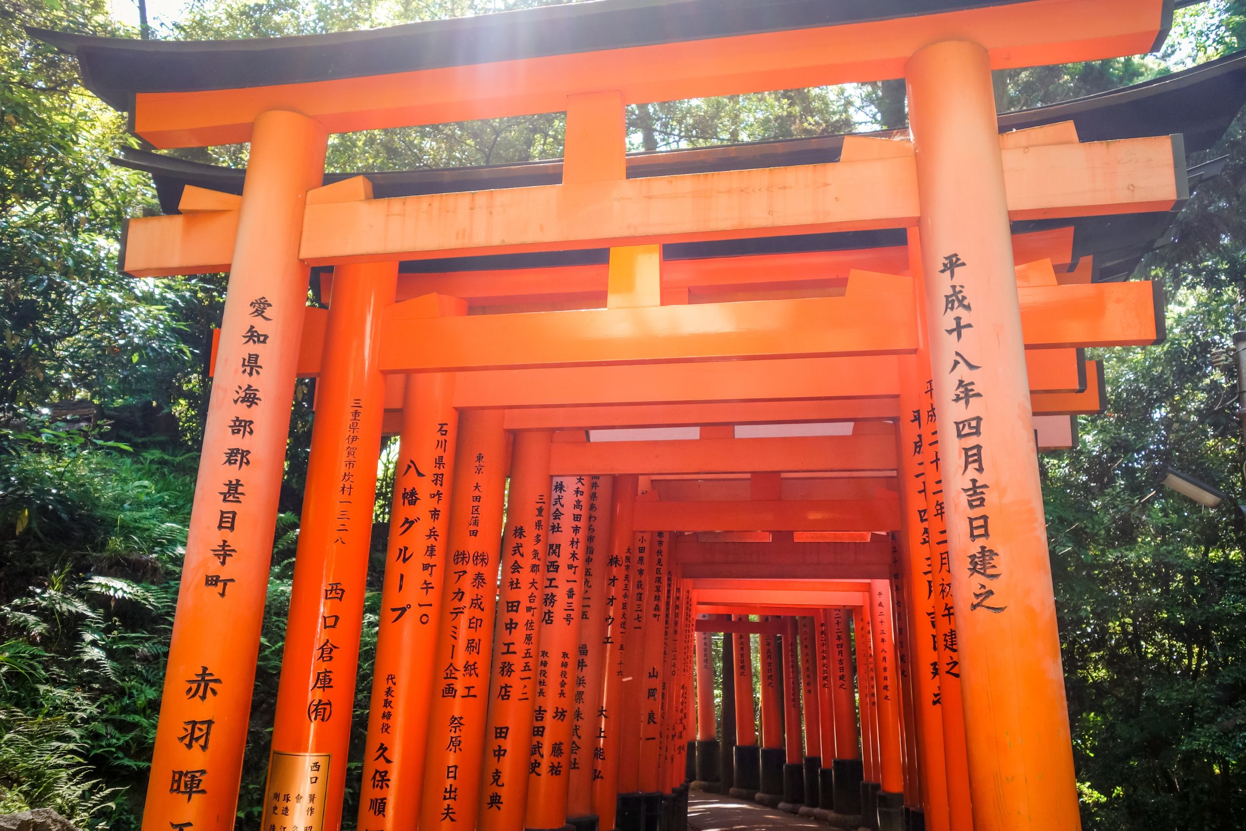 Izumo Taisha shrine for prayer and spiritual retreat in Japan