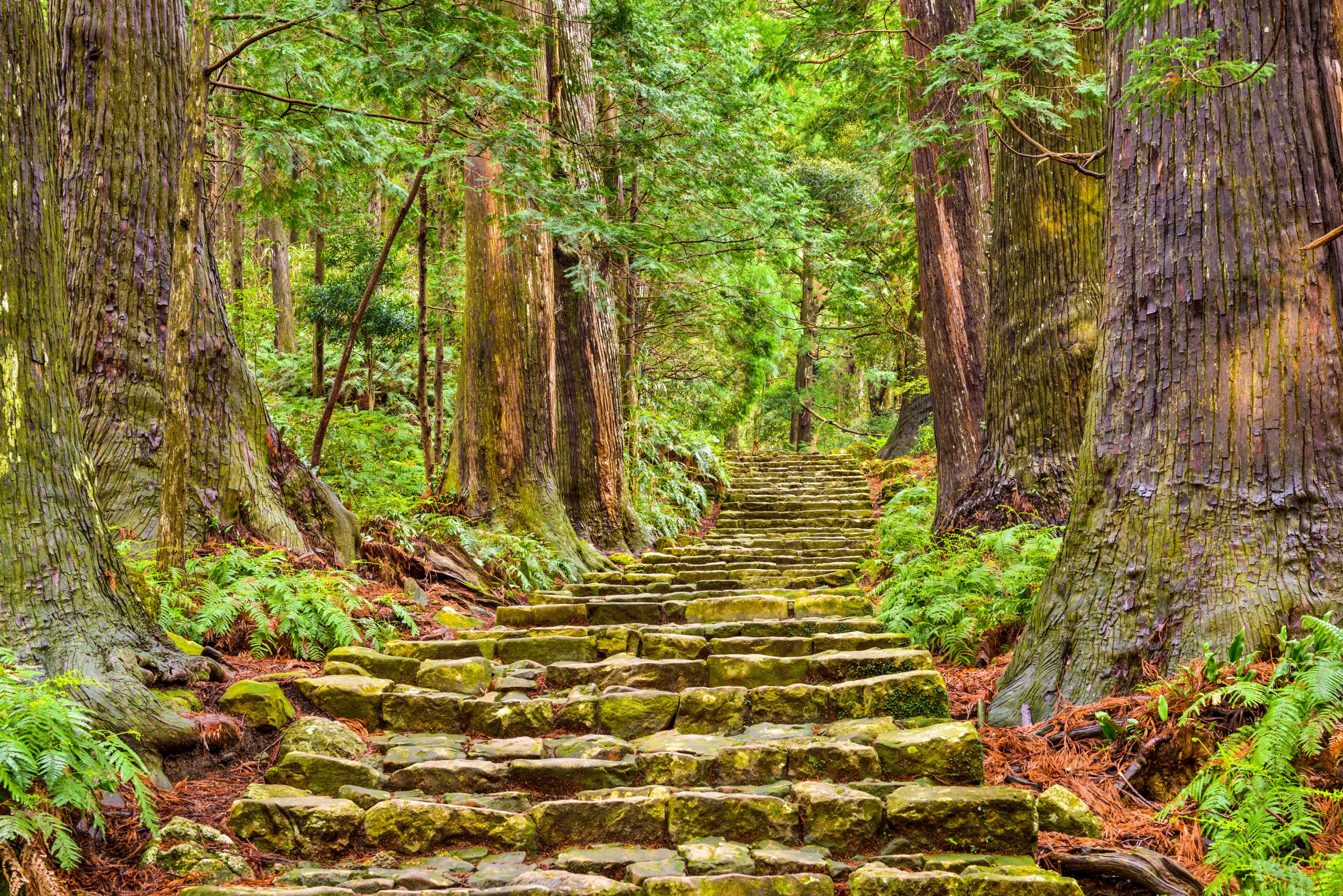 Kumano Kodo pilgrimage route as a Japan spiritual retreat experience