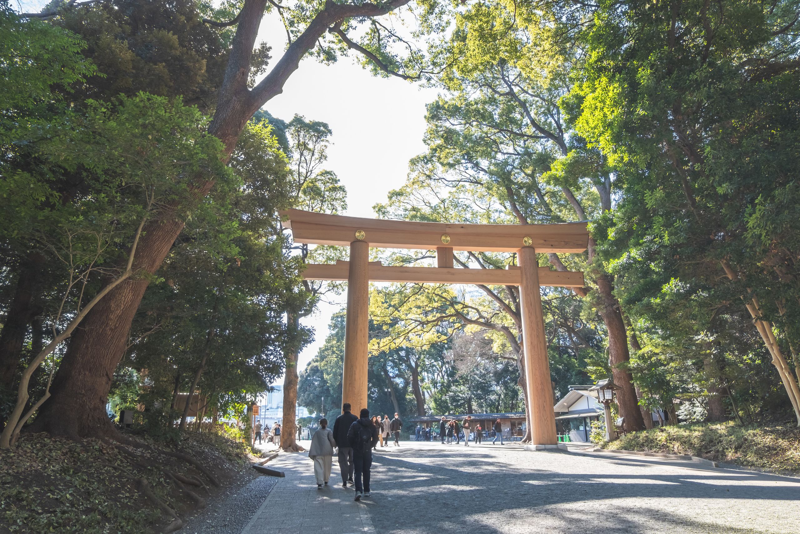 Togakushi cedar avenue, sacred mountain path for spiritual retreat in Japan