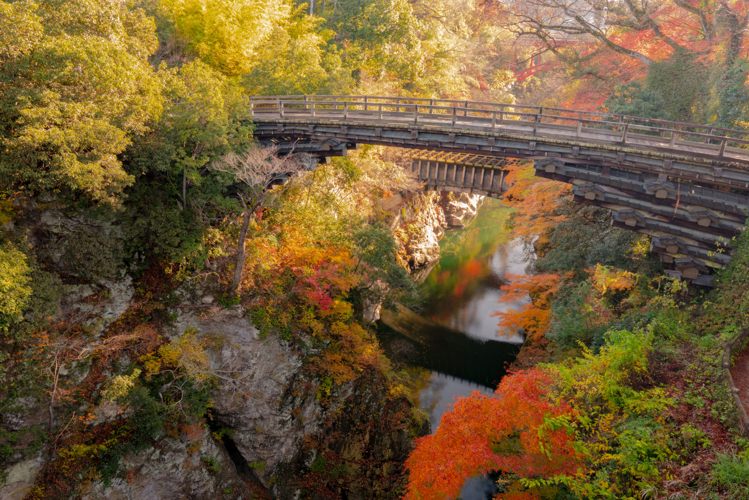 Saruhashi wooden bridge in Otsuki surrounded by nature