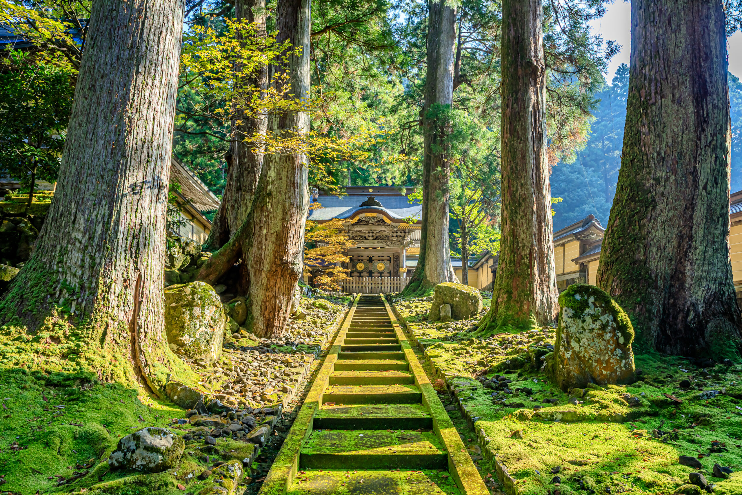 永平寺の杉木立に囲まれた参道と静寂な境内の風景