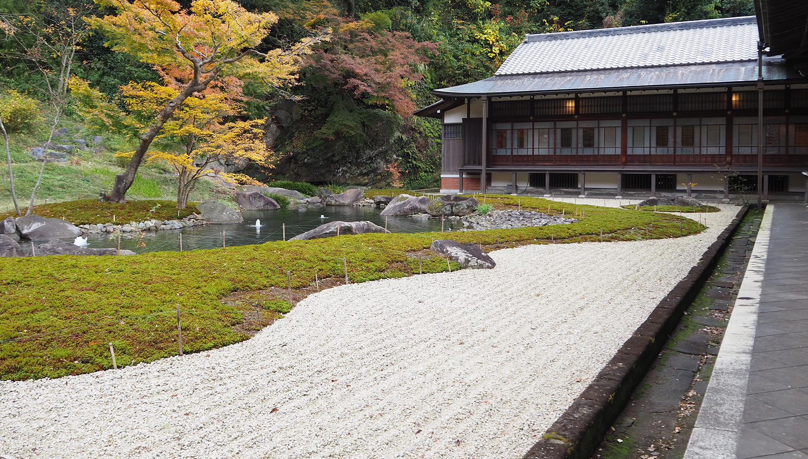 円覚寺 方丈庭園の池と苔に包まれた静かな庭園風景